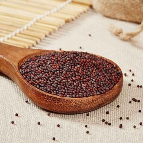 Rai (Mustard Seeds)- Spices /Garam Masale