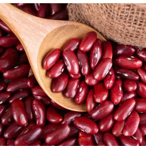 Rajma Red