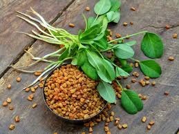 Methi Dana(Fenugreek Seeds) –Spices/ Garam Masala