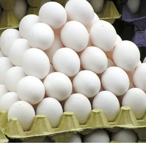 Egg Creat (Ande Ki Creat)