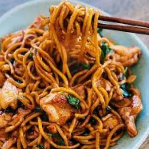 Chicken Schezwan Noodles-(Bombay Chinese Fast Food)