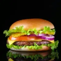 Paneer Burger (Pizza Gril)