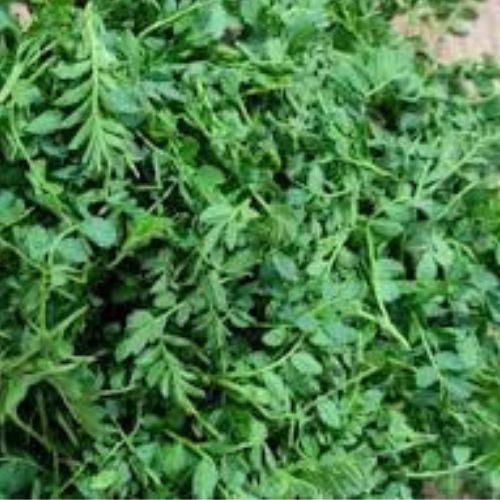 Fresh Chane Ka Saag sag